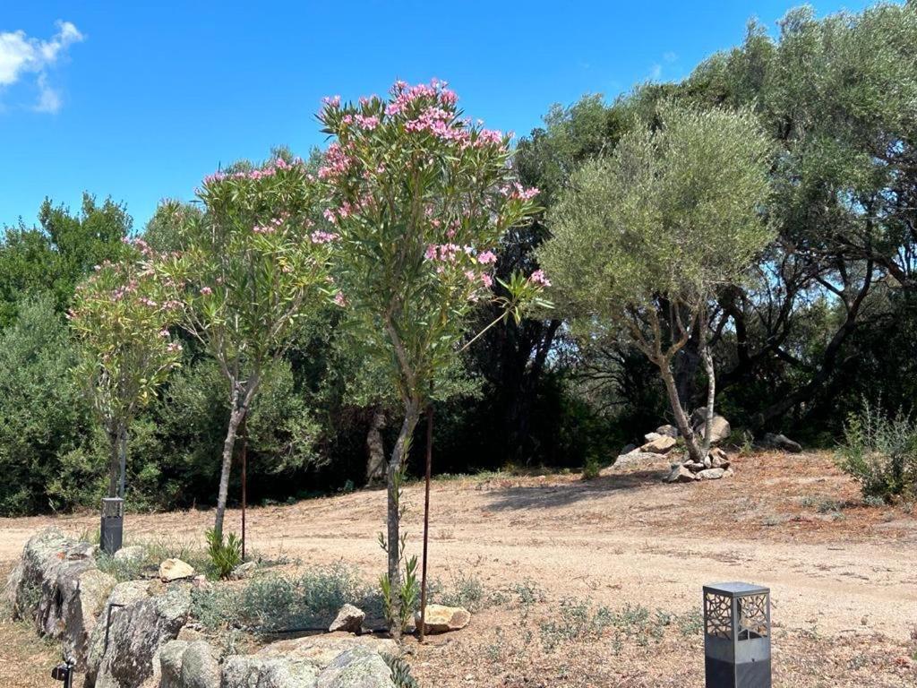 La Piana Holiday House Bassacutena Exterior photo